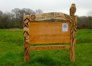 Broad Oak Common.jpg