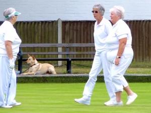 i. Carol and Rossi, the dog, thought it was a good shot.jpg